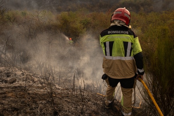 UGT pide a las CCAA aplicar las leyes de Bomberos Forestales y de Agentes Medioambientales: 
