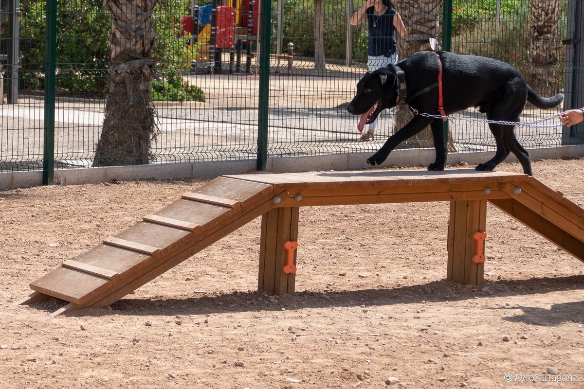 Los perros ganan terreno en Cartagena: adjudicadas las obras del nuevo parque canino en el parque de la Rambla