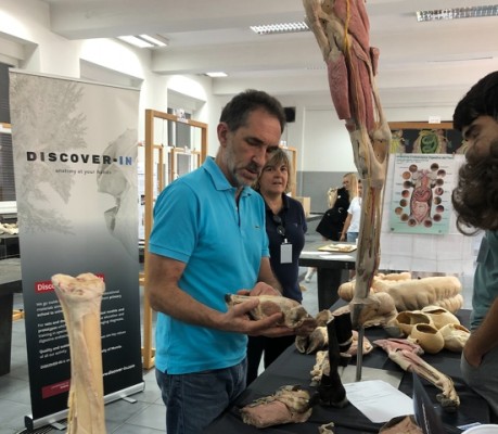 Discover-IN, la startup murciana que lleva por todo el mundo sus piezas plastinadas para formación veterinaria