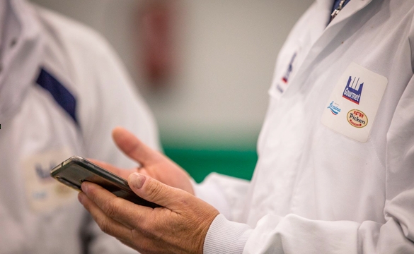 Así son las ‘pechuguitas’ valencianas con 95% de pollo: el producto que ha lanzado Gourmet S.A.