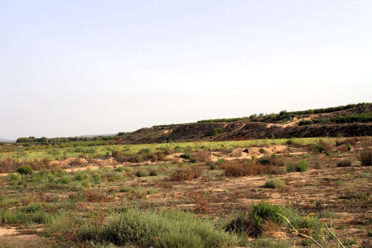 La rambla de Cobatillas se protege contra las inundaciones: licitadas las obras por 16 millones de euros