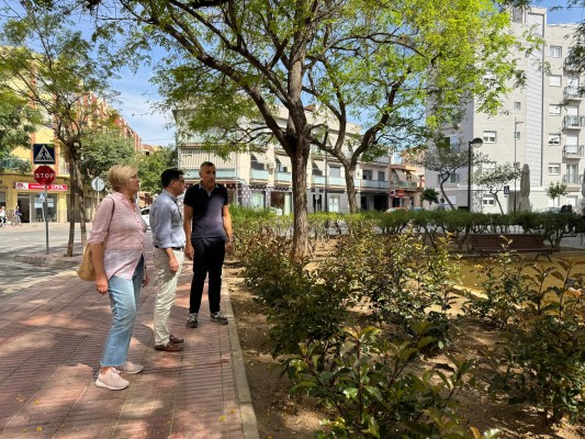 San Vicente aborda una nueva contrata de zonas verdes por 4,9 millones por dos años