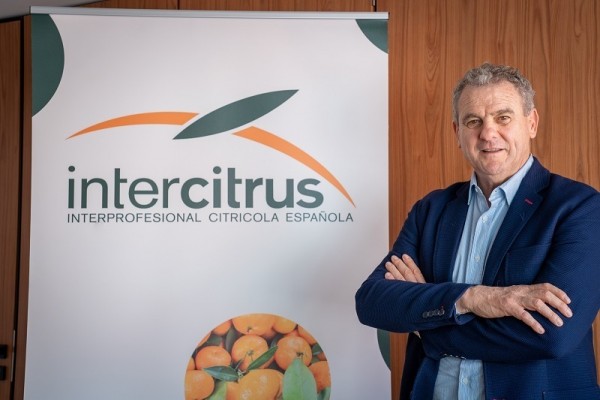 Celestino Recatalá (Intercitrus): 
