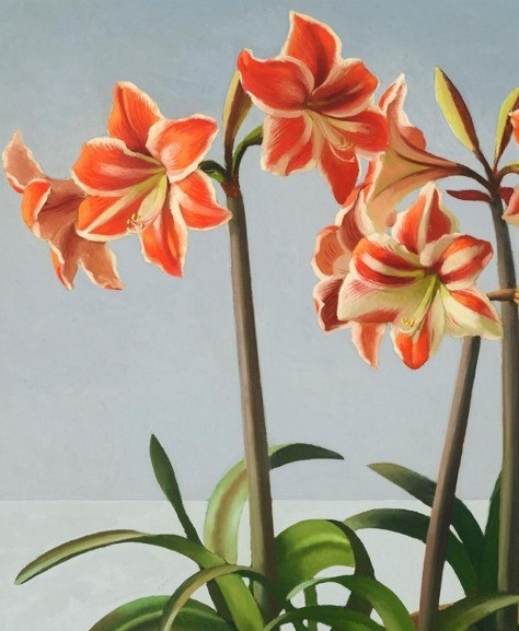  - Foto: ANA RUIZ ABELLÓN