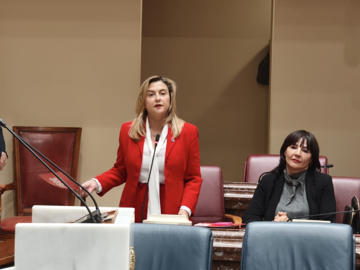 Carmina Fernández, en la Asamblea Regional. - Foto: PSOE Carmina Fernández, en la Asamblea Regional.