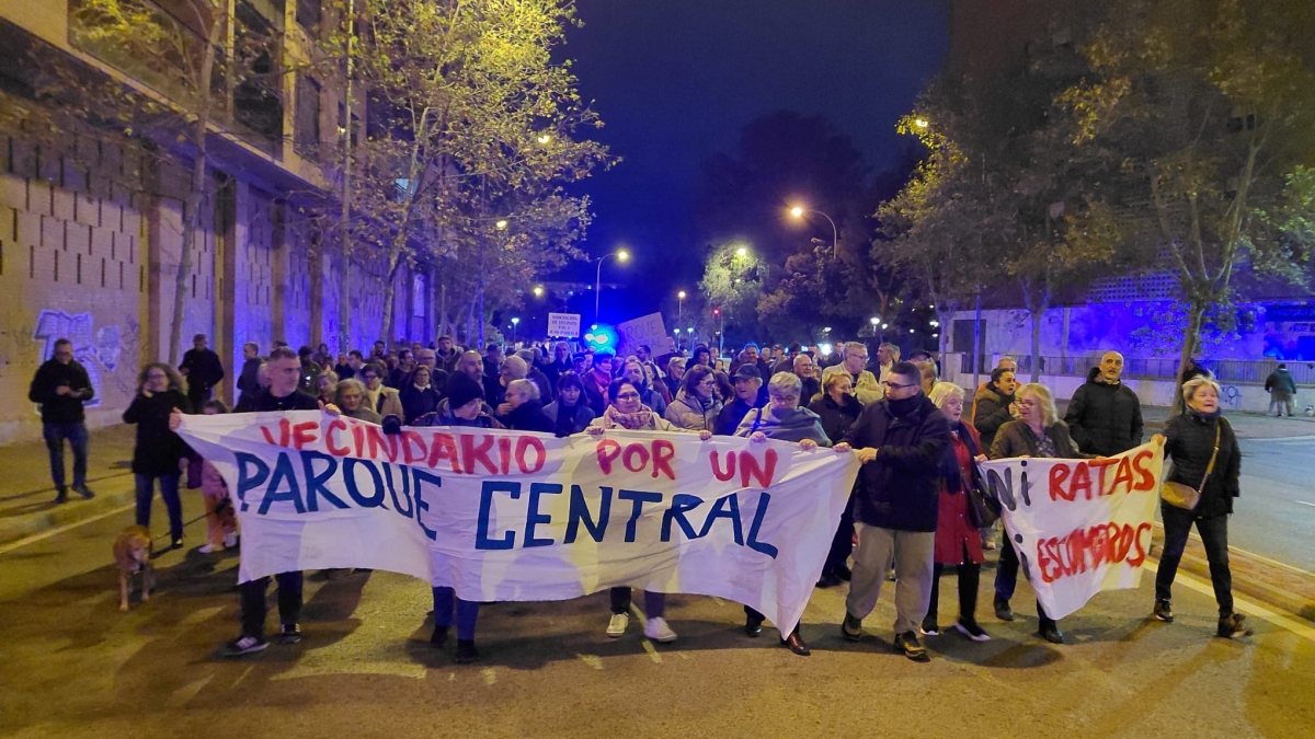 La marcha reivindicativa organizada por Parque Central, Ya!. - 