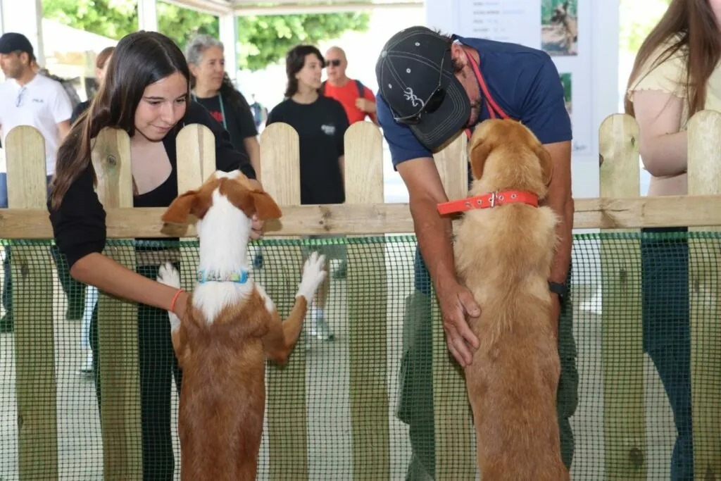 Torrent acoge dos exhibiciones caninas y felinas a nivel internacional este fin de semana