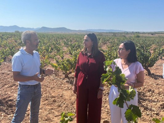 La Región de Murcia concede más de 775.000 euros a 300 viticultores que han reducido sus ingresos por la producción