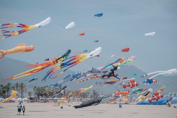 Adepla recibe una subvención de 20.000 € del Patronato Provincial de Turismo de Castellón por el éxito del 'Festival del Viento'