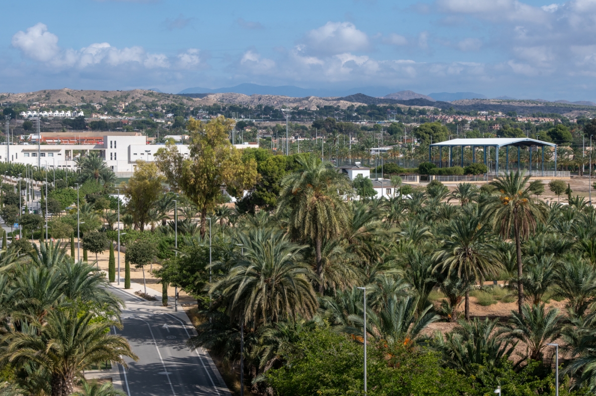 Zona de la futura residencia en el campus de Elche - - Foto: RAFA MOLINA Zona de la futura residencia en el campus de Elche -