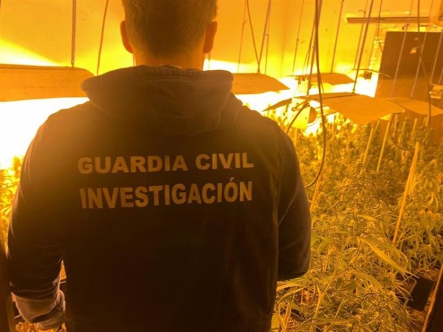 Iban a deternerle por una brutal paliza y le encuentran 6 kilos de marihuana y 12.000 euros en efectivo
