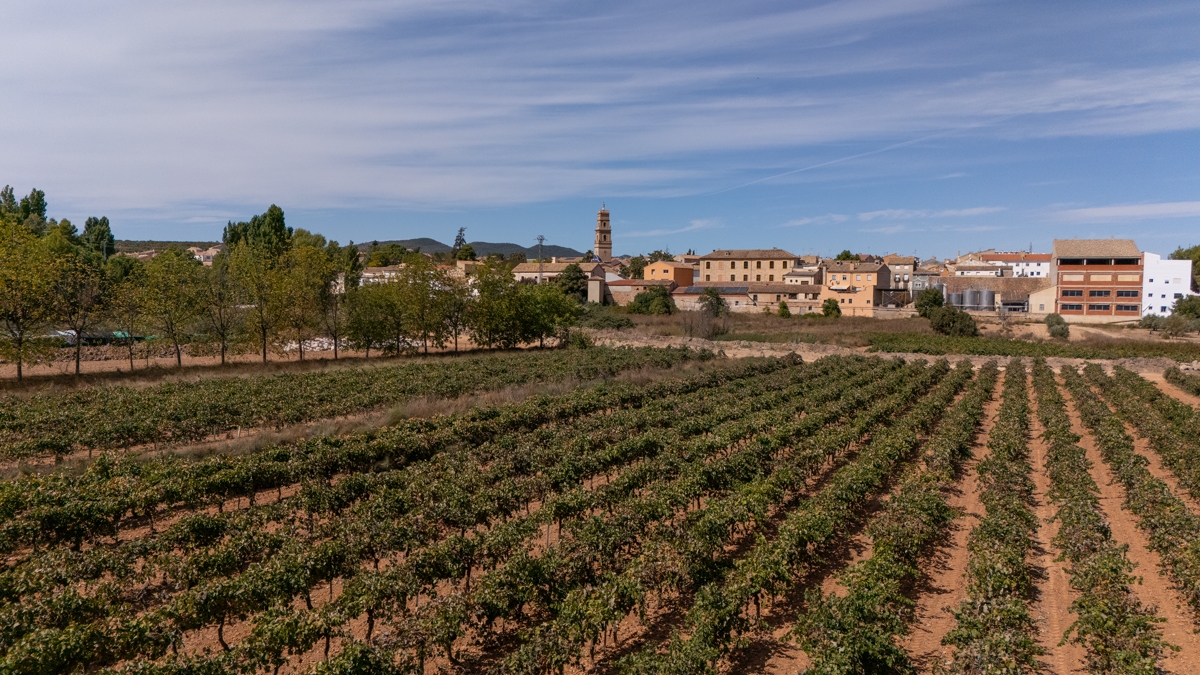 Caudete de las Fuentes, un destino donde el vino y la historia construyen identidad