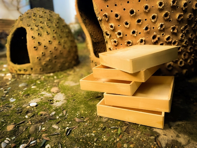 Una veintena de artistas exponen en La Innovadora de Murcia cajas customizadas y convertidas en piezas únicas