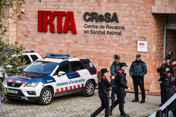 Mossos y Guardia Civil registran el laboratorio investigado por el brote de peste porcina