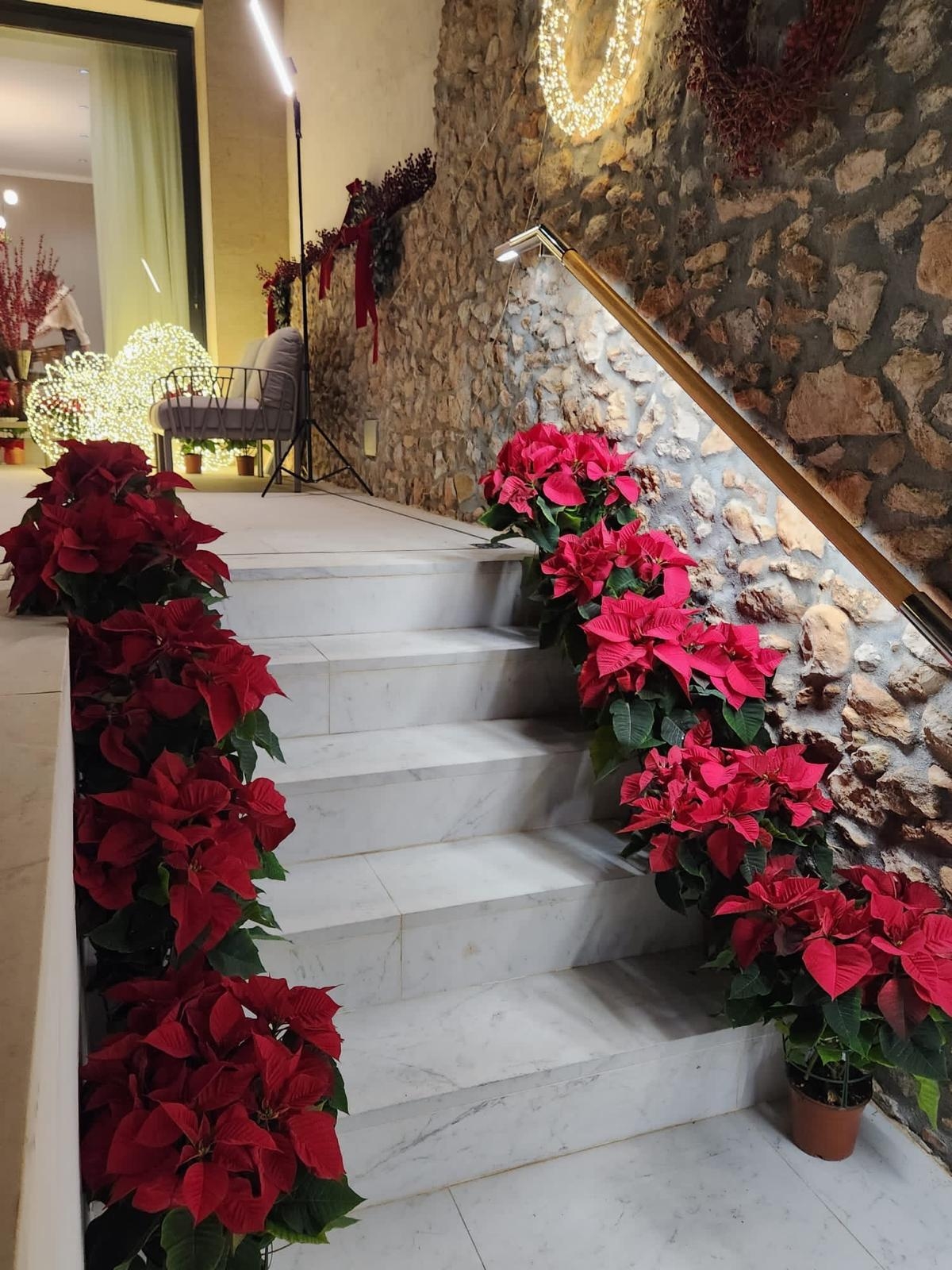  - Foto: Carlos Mula y Fina Ruiz