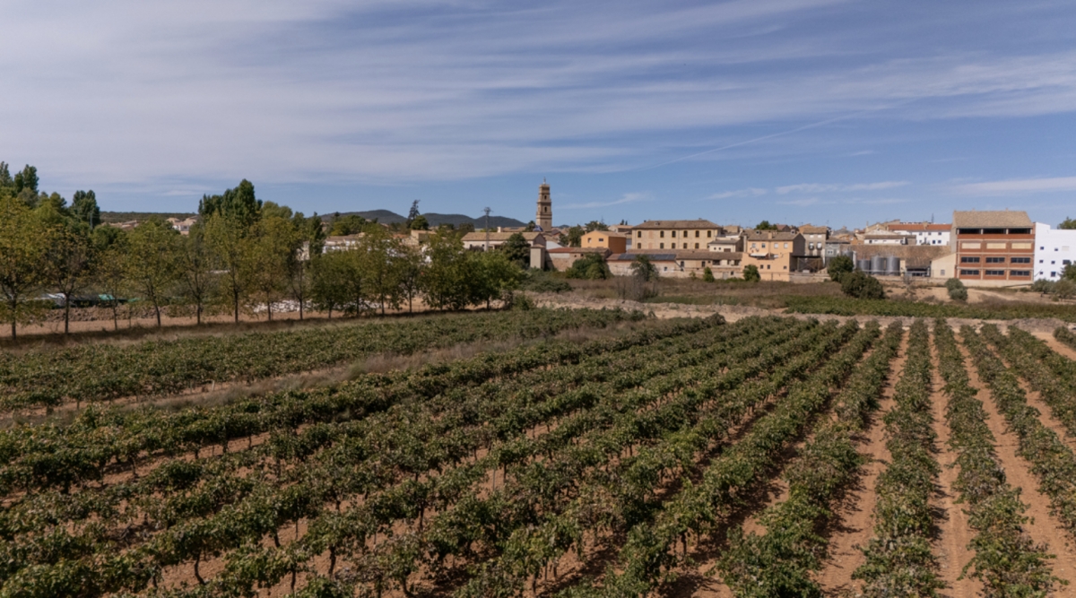 Caudete de las Fuentes: un destino donde el vino y la historia construyen identidad