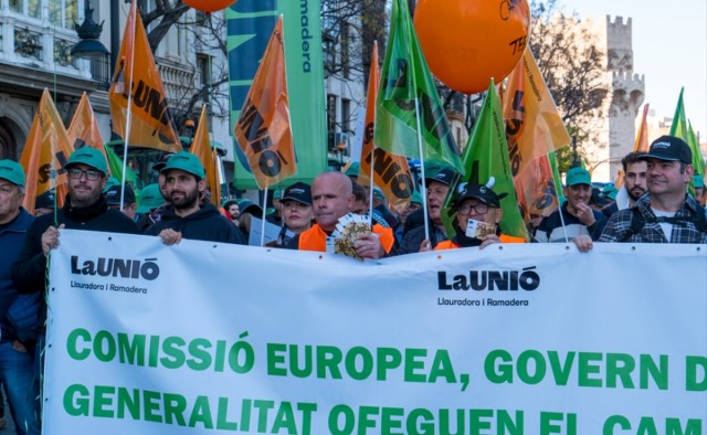 La presión del campo surte efecto: el tratado del Mercosur incluirá al cítrico como producto sensible