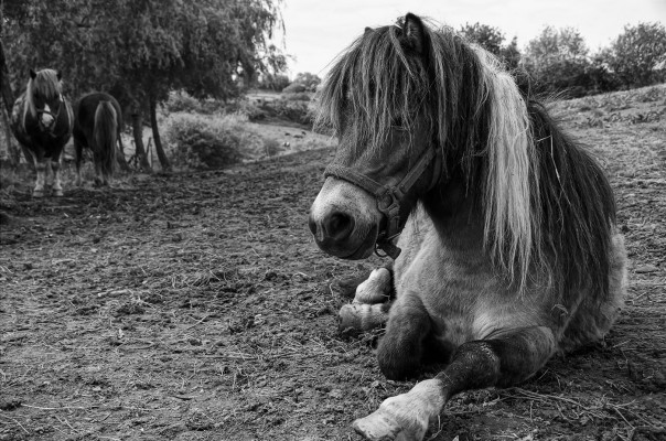 El creador asturiano  José Antonio Fontal fotografía la 'Sustancia de lo eterno:  exposición en la BRMU