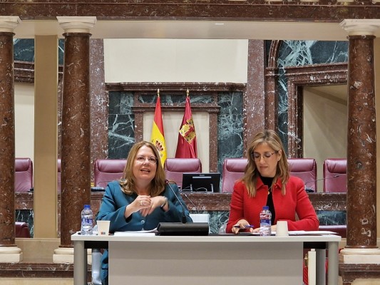 La Asamblea despide el 2025 con cuatro leyes, dos decretos convalidados, 48 plenos y 1.675 iniciativas tramitadas