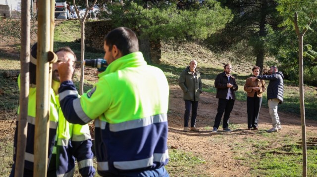 Onda sumará una nueva zona verde de la mano de Sanitas con 78 árboles que conectarán con El Carmen