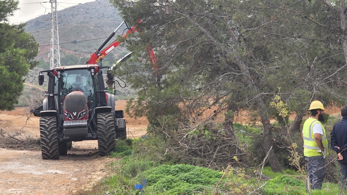 Los antiguos caminos ganaderos ejercerán como corredores verdes frente a la degradación ambiental en el entorno del Mar Menor
