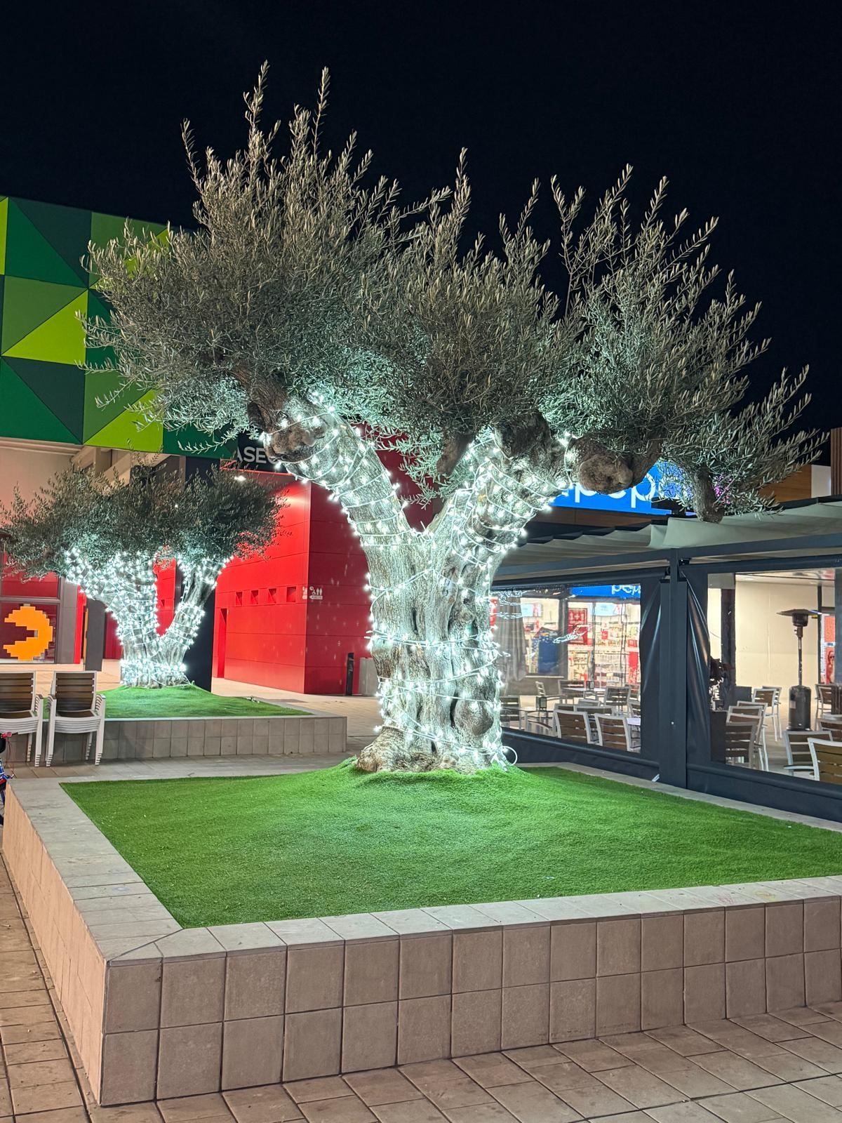  - Foto: CENTRO COMERCIAL LOS OLIVOS