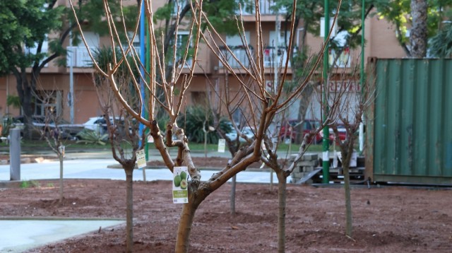 Onda avanza con las obras del parque de las Tres Culturas: nivela el terreno para mejorar la movilidad
