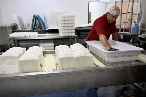 China impone aranceles provisionales de hasta el 42,7% a productos lácteos de la UE