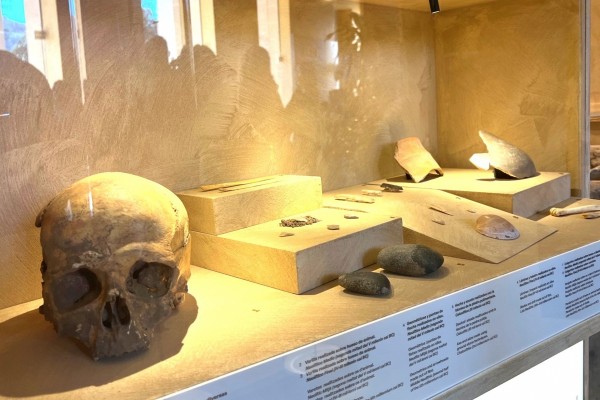 Canibalismo por amor: el MARQ revela los rituales más íntimos del Neolítico en la Cova del Randero