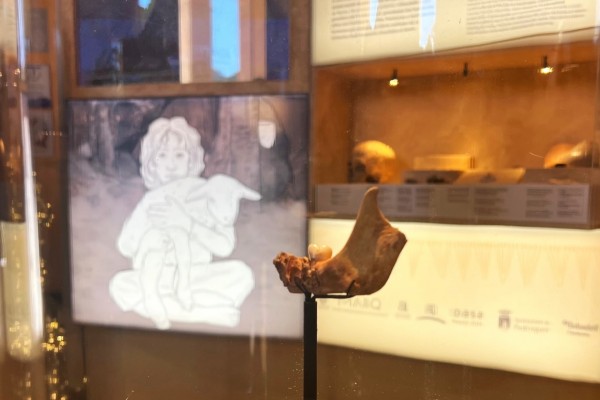 El MARQ acoge una jornada sobre las creencias y el simbolismo funerario en Iberia en los siglos IV-III a.C.