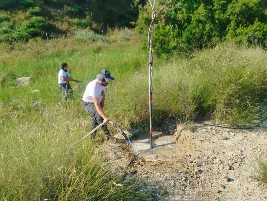 El Anillo Verde de Molina de Segura entra en la recta final con la plantación de 34.000 ejemplares de 52 especies