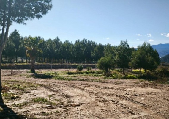 La Generalitat retira 800 toneladas de escombros procedentes de la dana en Turís y finaliza el dispositivo especial