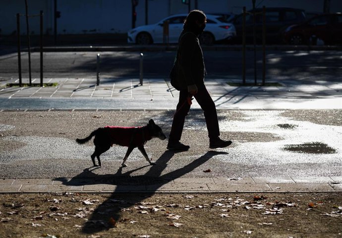 Estética y ética valencianas ante la nueva crueldad