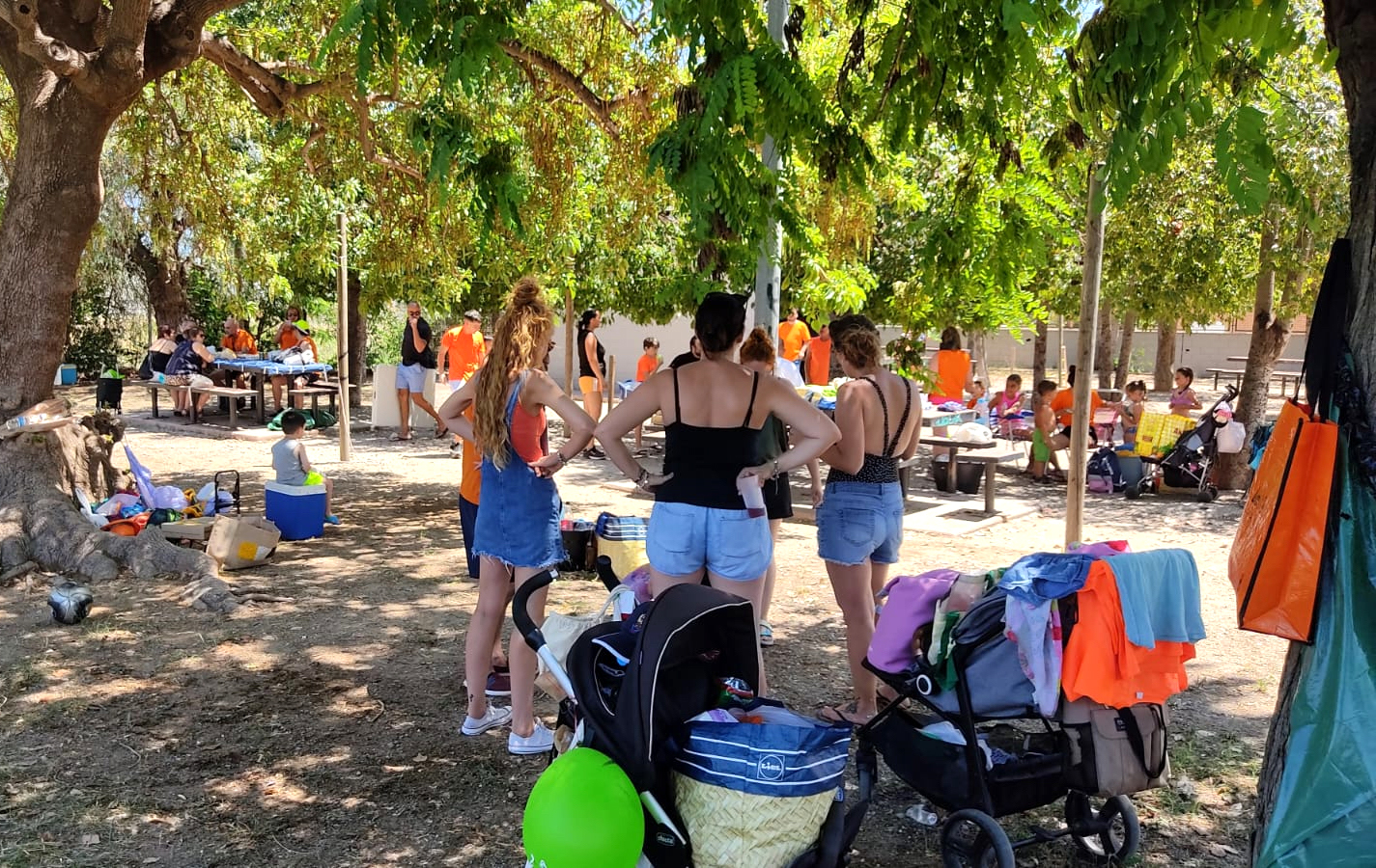 Foto: AYUNTAMIENTO DE BENETÚSSER - 