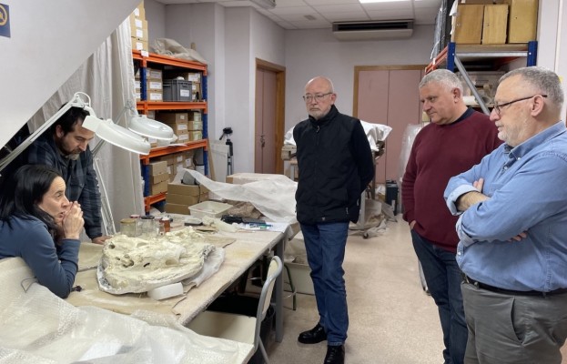 El MUPE participa en un proyecto de investigación de patrimonio paleontológico de Castilla-la Mancha