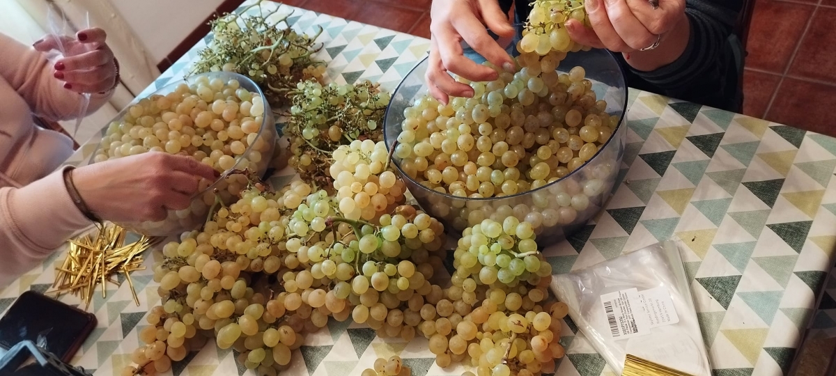 El Senija el pueblo se vuelva en la preparación de esta jornada.