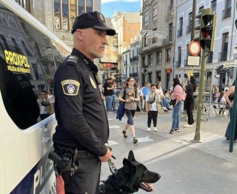 Medidas policiales, sanitarias y de seguridad privada: Castelló activa un dispositivo especial de seguridad para Nochevieja
