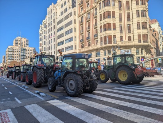 División en el campo valenciano: por qué todos claman contra lo mismo de forma separada