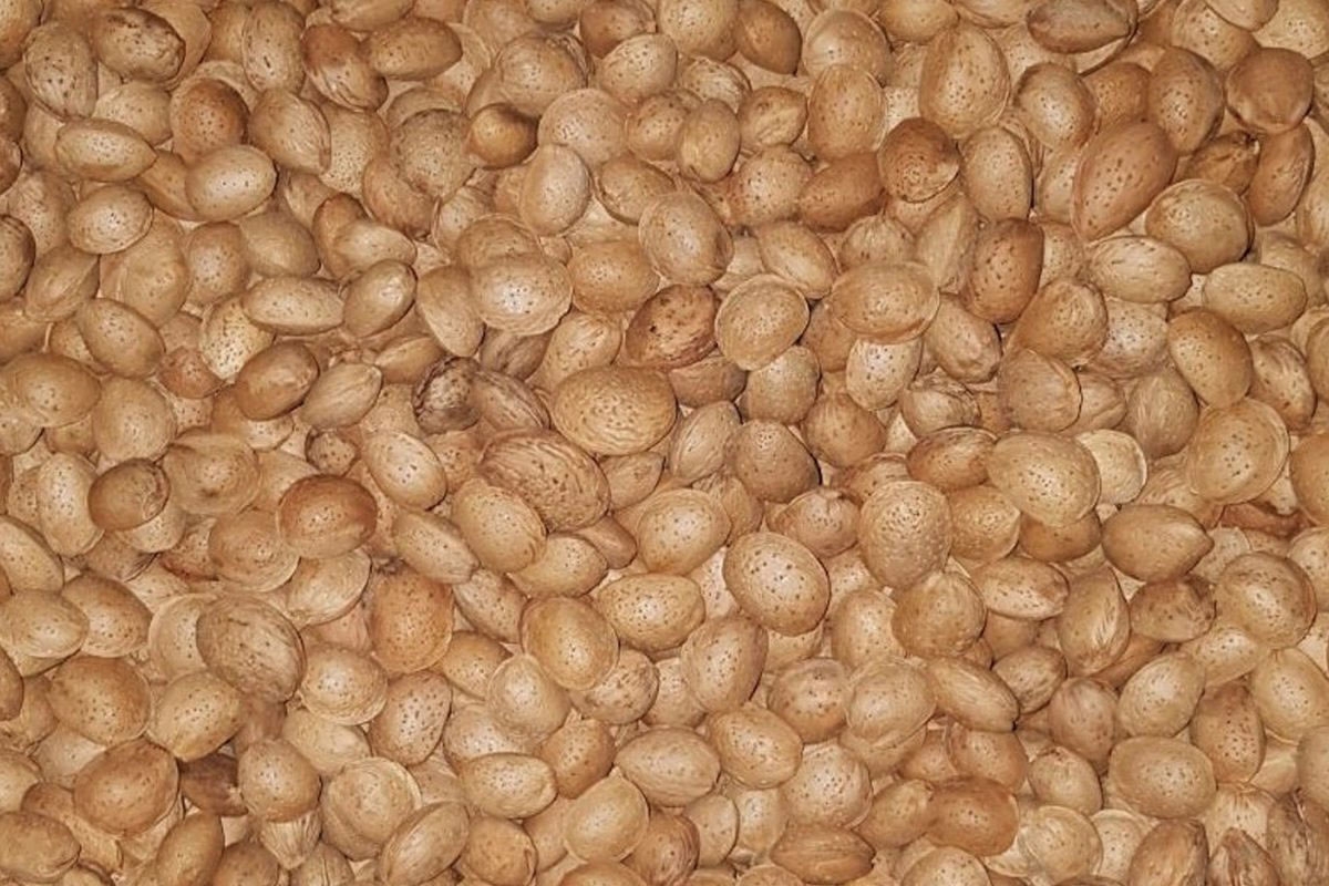 Las almendras de cultivo propio