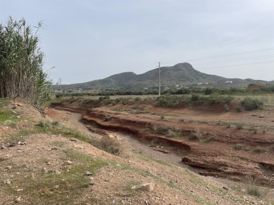 La CHS licita por cerca de 15 millones obras en ramblas para reducir inundaciones y proteger el Mar Menor