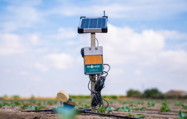 La murciana Widhoc compra la inteligencia artificial agrícola de la sevillana ec2ce por un millón de euros