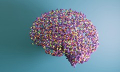 La asociación de Alzheimer de Castellón lanza una herramienta digital para orientar a cuidadores