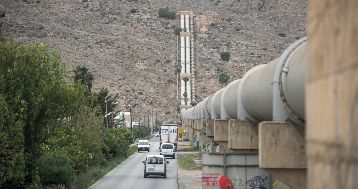 La Vega Baja: El corazón agrícola resiste entre sequía e innovación