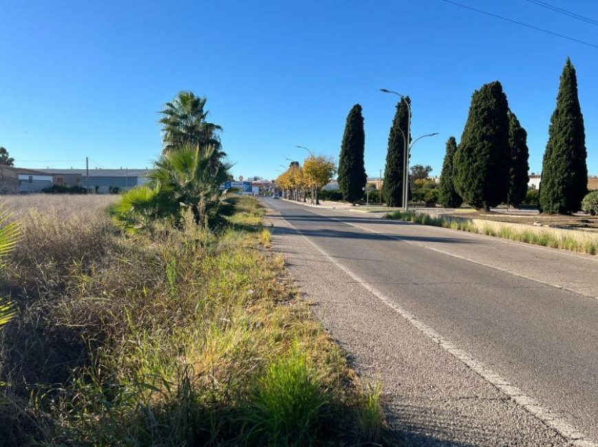 Zona en la que se ubicaría la instalación del tanatorio crematorio en Burriana.  - 