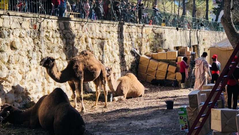 Alcoy suspende el Campamento Real en la montaña del Preventorio: Bando y Cabalgata se mantienen