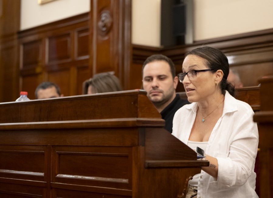 La diputada socialista Merche Galí.  - 