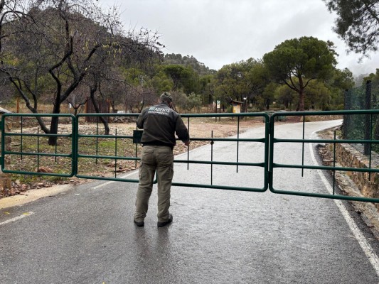 Medio Ambiente cierra accesos a Sierra Espuña por riesgo de colapso y accidentes