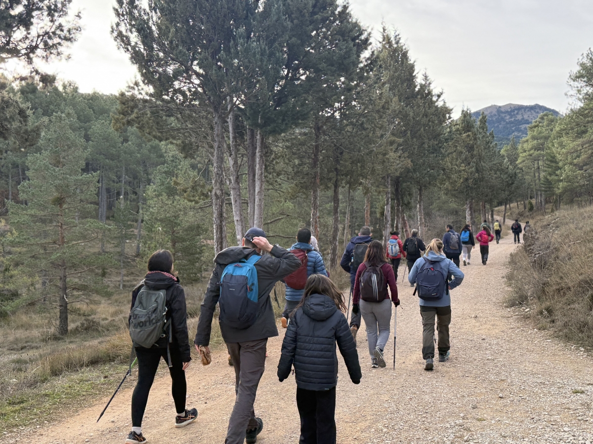 La Diputación de Castellón guía a 1.185 personas por senderos de la provincia en 2025