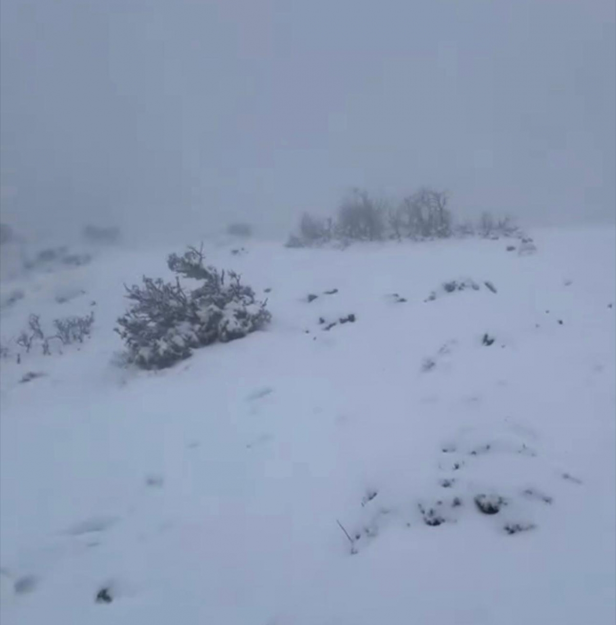 Nieve en Alcoy - - Foto: Miguel Ángel Valero Nieve en Alcoy -