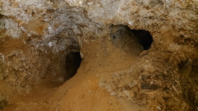 El día que los huertanos creyeron ser ricos por un tiempo
